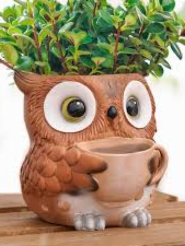 Cute owl hugging cup resin - owl,