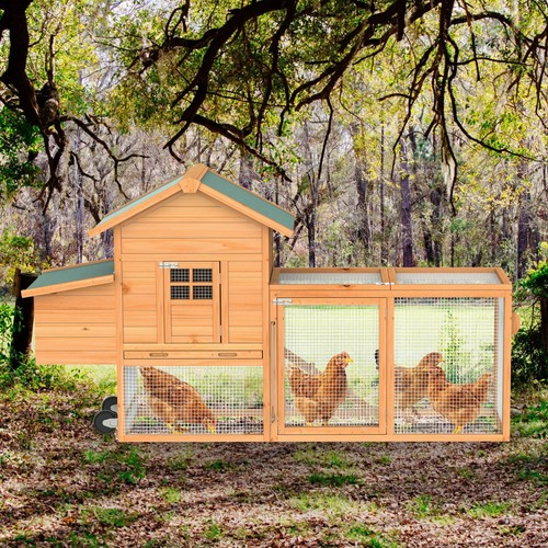 Outdoor wooden chicken coop - chicken,
