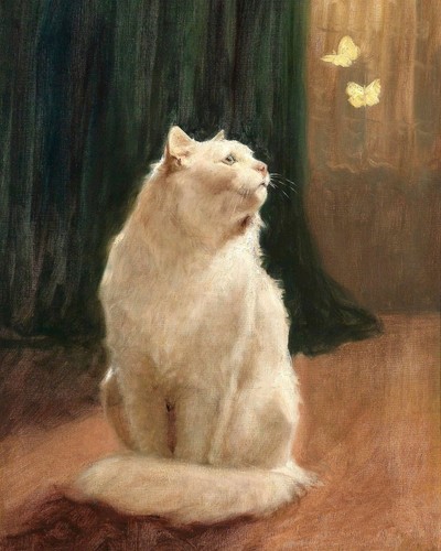 Vintage cat with - vintage, butterfly
