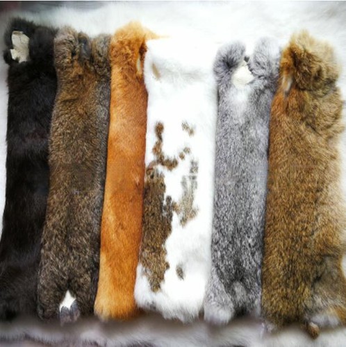 5pcs real farm - 5pcs,