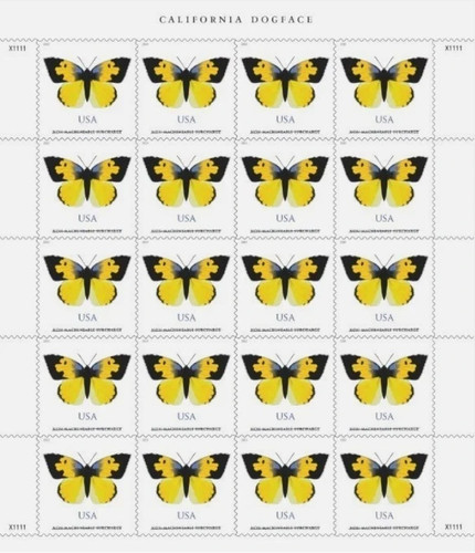 2019 yellow butterfly - yellow,