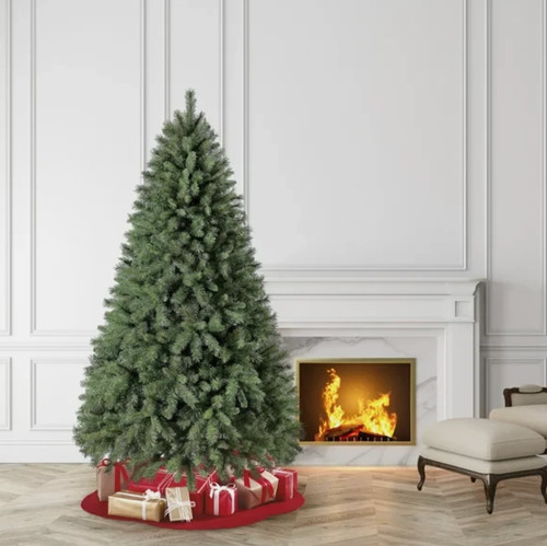 Holiday time donner - donner, fir