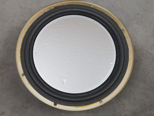Carver amazing speaker - amazing, 12"