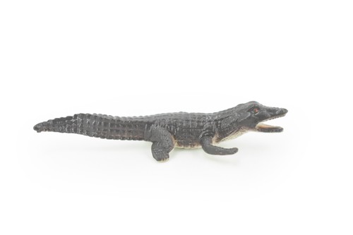 Alligator crocodile baby - alligator,,