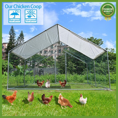 Large metal chicken - large, coop