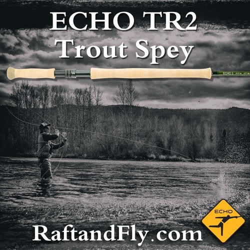 Echo tr2 4wt switch trout - echo,