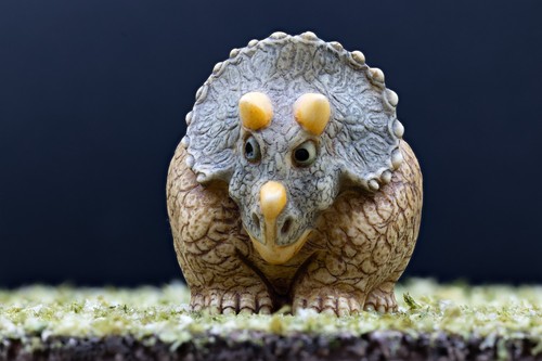 Pot bellys horn - pot, face