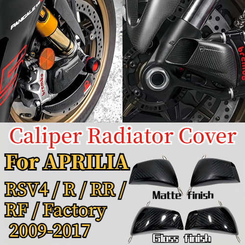 Carbon fiber front brake - front, air