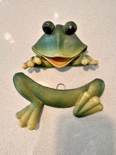 Frog tree hugger peeker - frog, or
