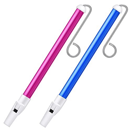 Penny slide whistle toy - slide, for