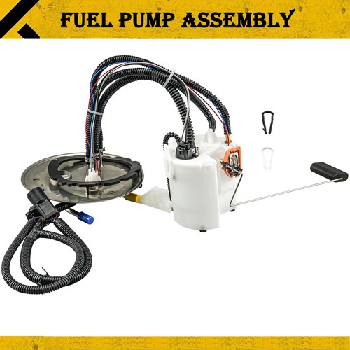 Fuel pump assembly for - fuel,