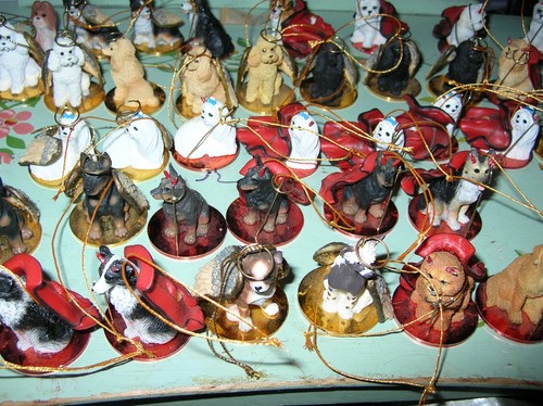 Tiny ones dog - ones,