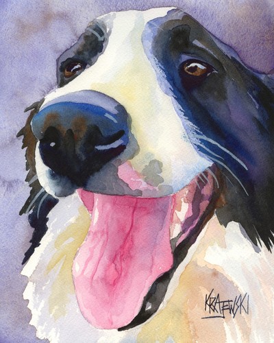 Border collie print - collie, of