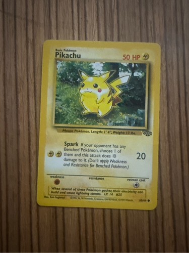 Pikachu 1995 pokemon - 1995,