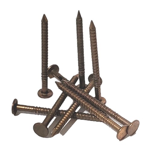 Inch bronze ring - ring, nails