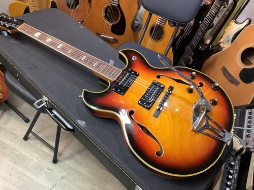 Acoustic electric guitar - acoustic,