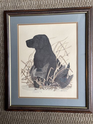 Black lab ducks limited - lab,