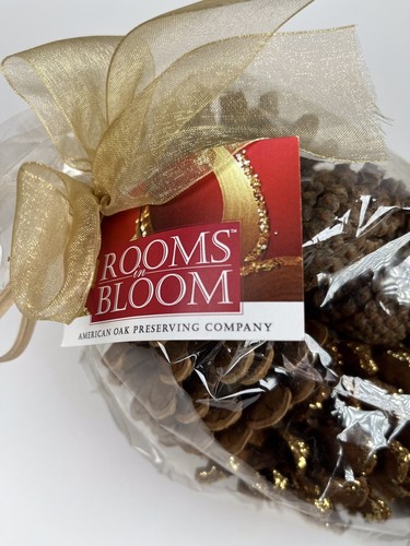 Room bloom pine cones - pine,