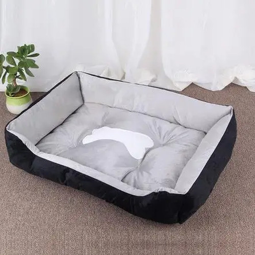 Pet large dog - pet, house