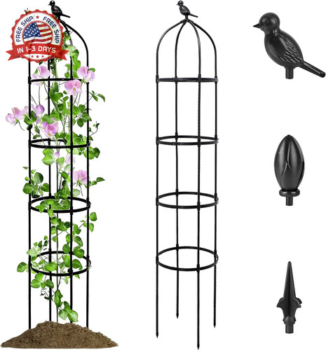Pack garden obelisk trellis - pack,
