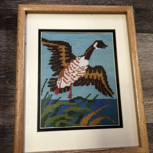 Framed behind glass flying - behind,