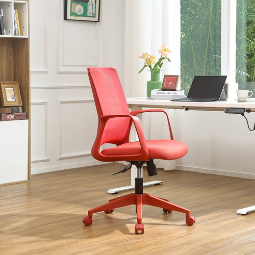 Executive office ergonomic - executive,