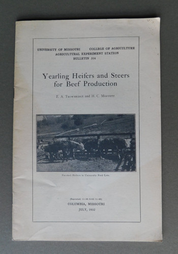Yearling heifers steers - &,