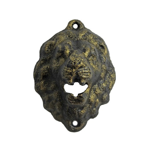 Cast iron lion head teeth - cast, beer