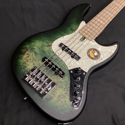 Electric bass guitar sire - electric,