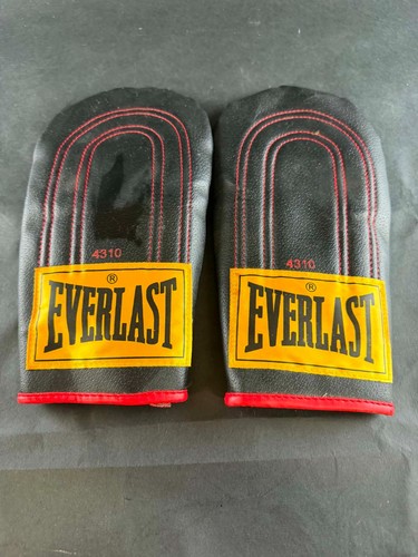 Everlast 4310 bag - 4310, training
