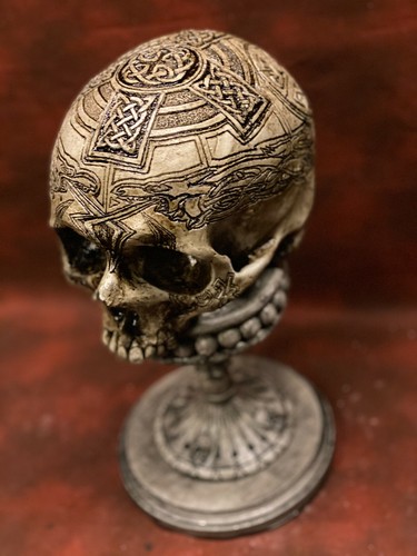 Real human skull resin - human,