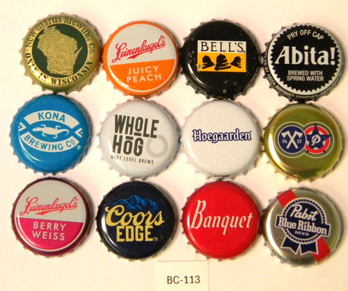 Craft vintage beer bottle - 12,