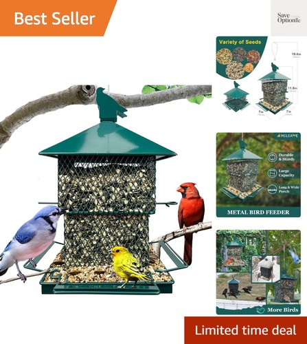 Bird feeders for outdoors - bird,