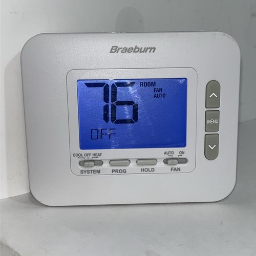 Braeburn 2030 programmable - braeburn,