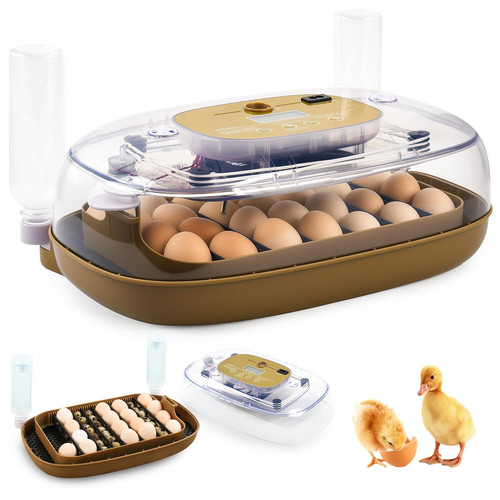 Eggs incubator with auto - 24,