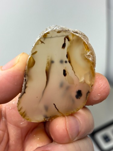 Montana agate slab - slab, cabbing