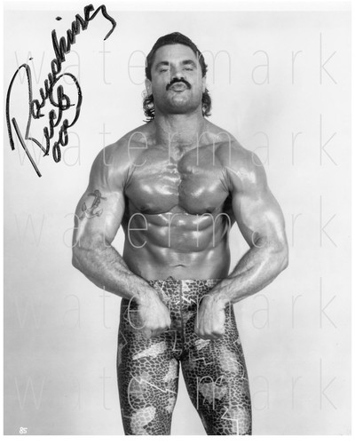 Ravishing rick rude - ravishing,