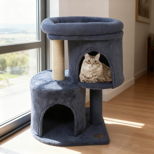 Small cat tree w large - cat, w/large