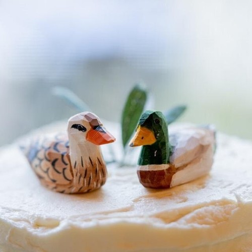 Mallard duck love bird cake - mallard,