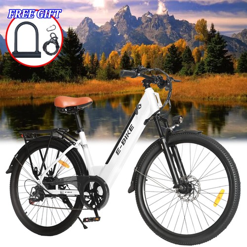 fat tire bicycle