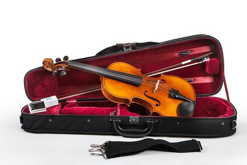 Eastman model 100 upgraded - model,