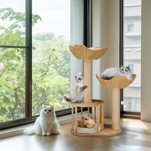 Cute cat tree indoor kitten - tree,