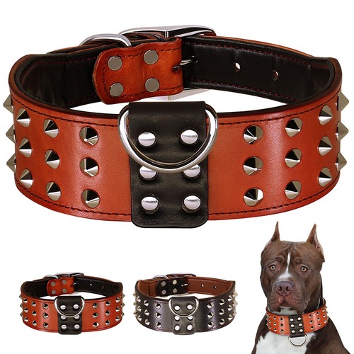 Spiked studded dog collar - dog,