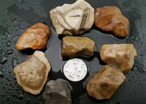 Ohio flint chert - chert,
