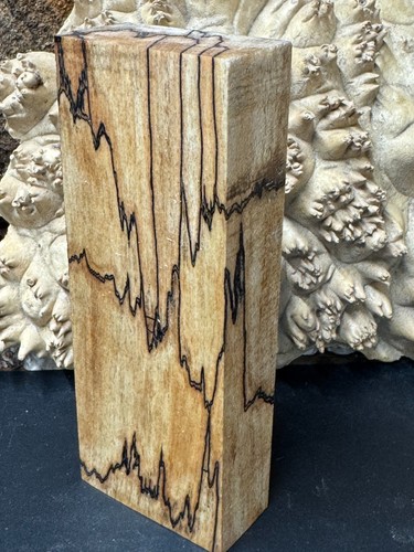 Stabilized spalted sugar - spalted, maple