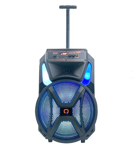 Karaoke trolley speaker - 12",