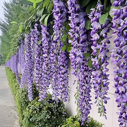 Hanging faux purple wisteria - purple,