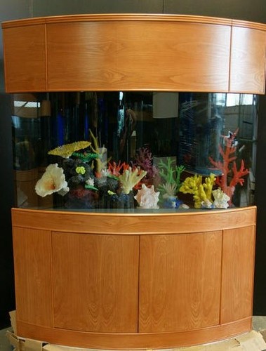 155 gallon corner aquarium - gallon,