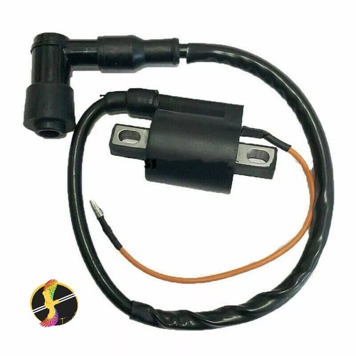 Brand new ignition - brand,