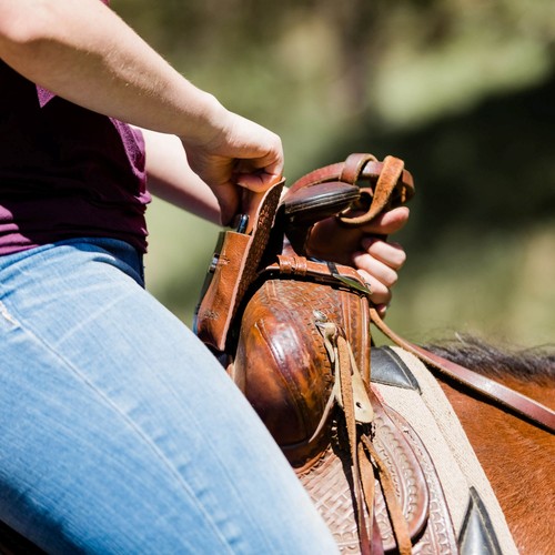 Horse saddle phone holder - saddle,